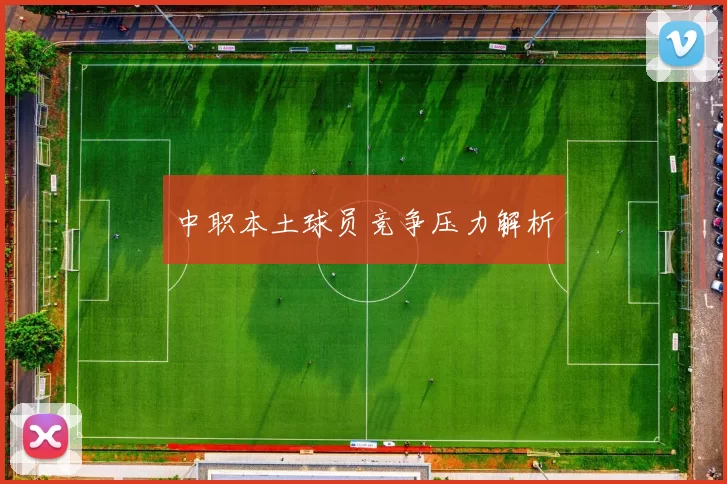 中职本土球员竞争压力解析