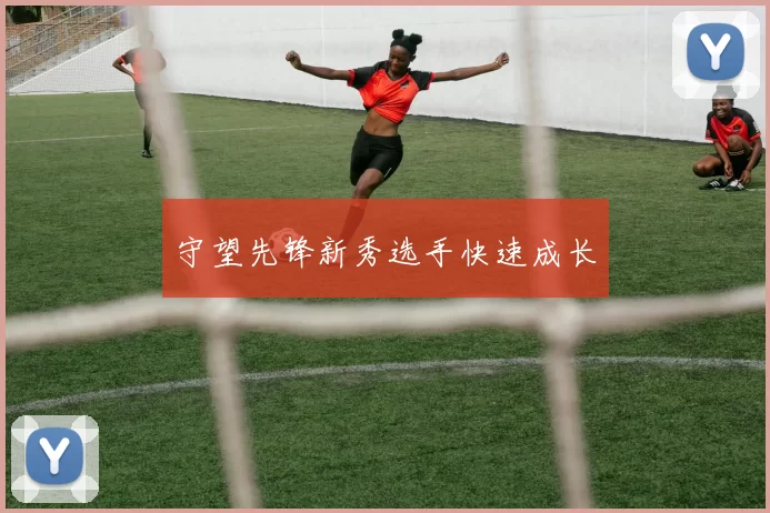 守望先锋新秀选手快速成长