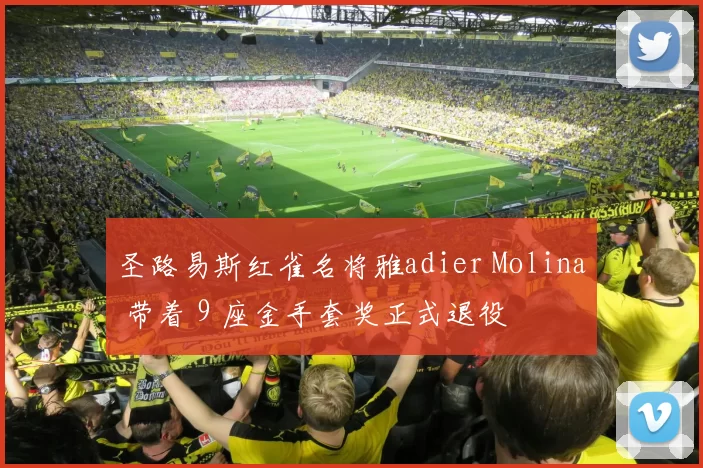 圣路易斯红雀名将雅adier Molina 带着 9 座金手套奖正式退役