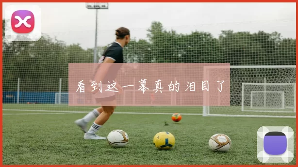 看到这一幕真的泪目了