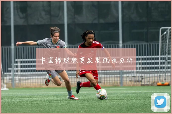 中国棒球联赛发展瓶颈分析