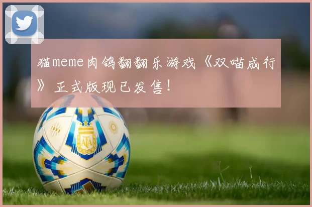 猫meme肉鸽翻翻乐游戏《双喵成行》正式版现已发售！