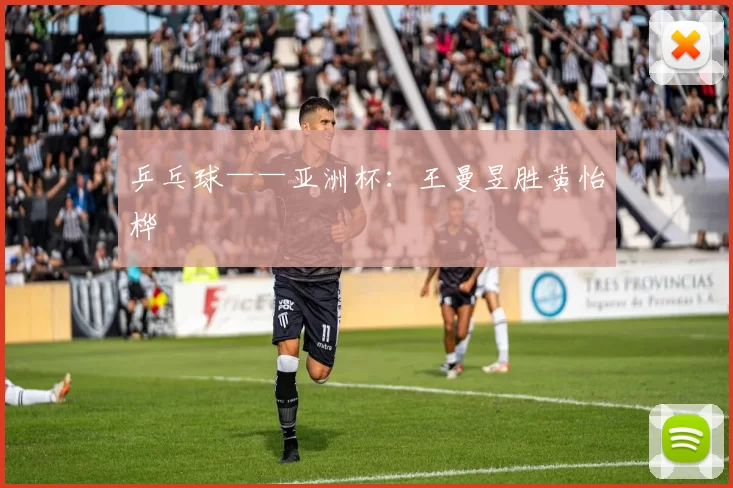 乒乓球——亚洲杯：王曼昱胜黄怡桦