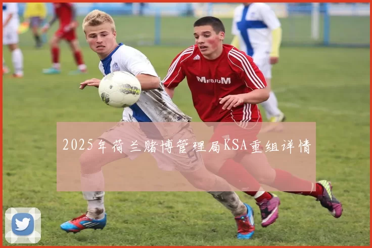 2025年荷兰赌博管理局KSA重组详情