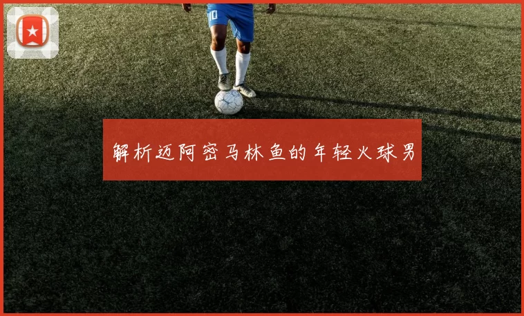 解析迈阿密马林鱼的年轻火球男